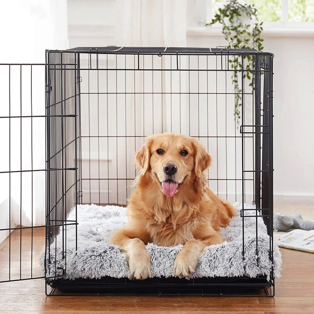 Orthocloud - Orthopädisches Hundebett für gesunde Gelenke