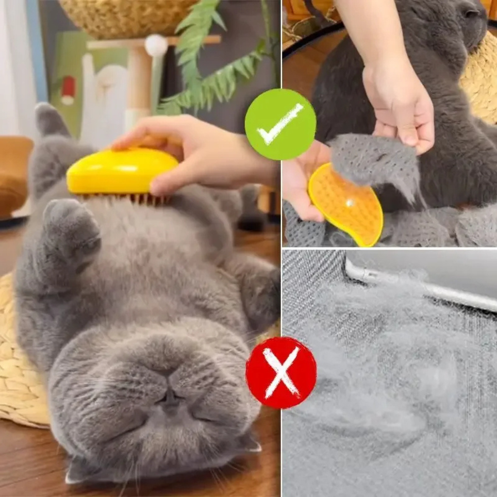 Katzenbürste Steamy