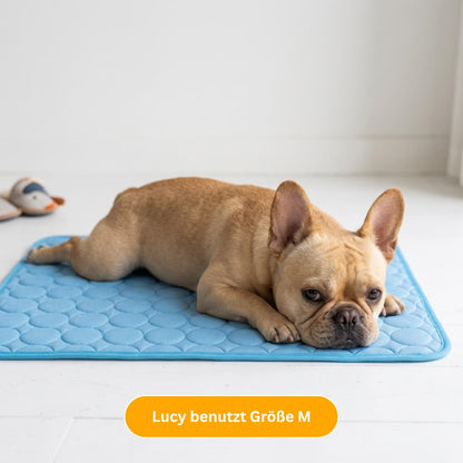 Premium Kühlmatte für Hunde