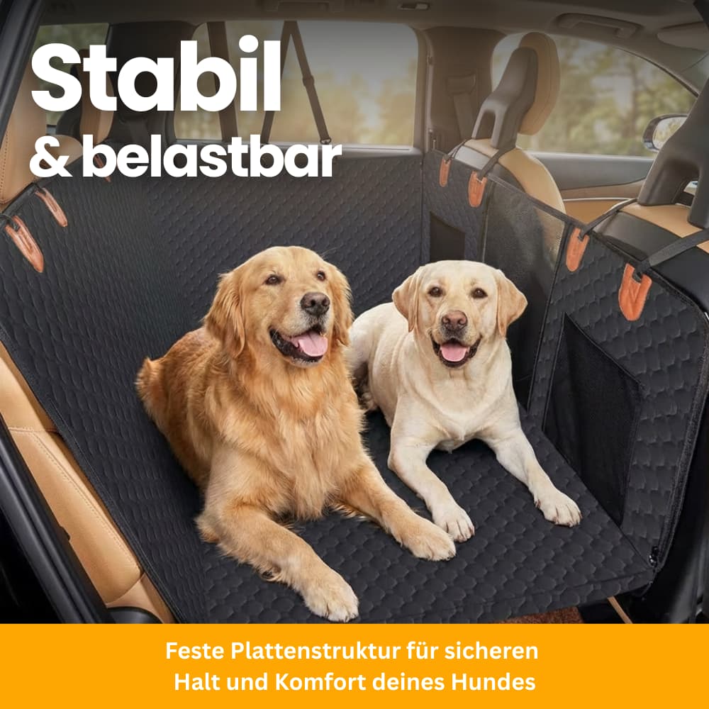 Stabiler Rücksitzschutz
