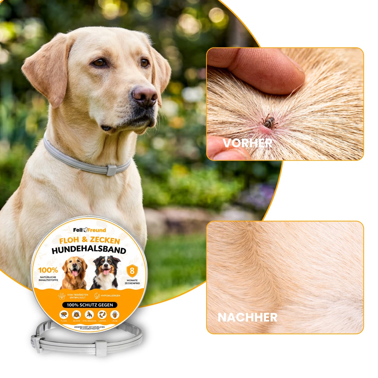 Floh- und Zeckenschutz Halsband für Hunde