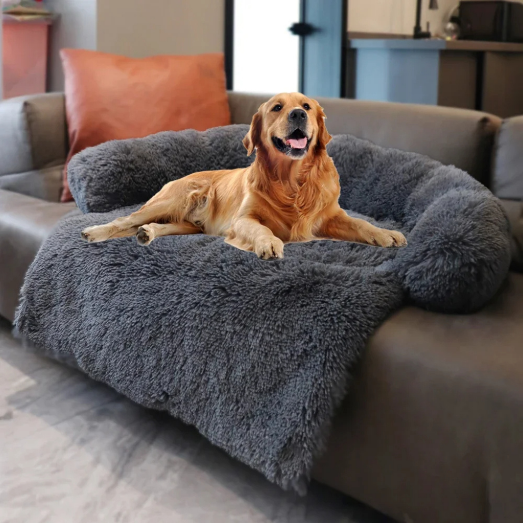 Beruhigender Sofa- und Möbelschutz