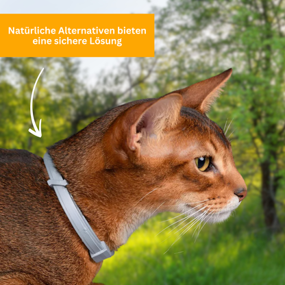 Floh- und Zeckenschutz Halsband für Katzen
