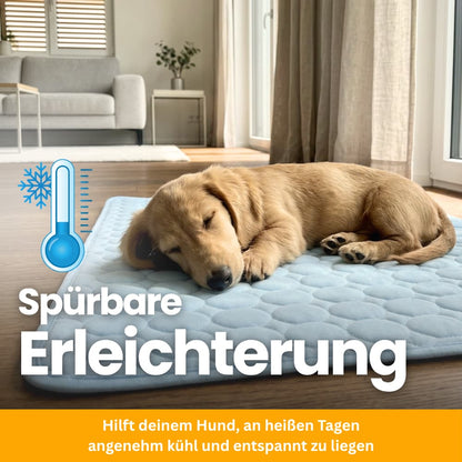 Premium Kühlmatte für Hunde