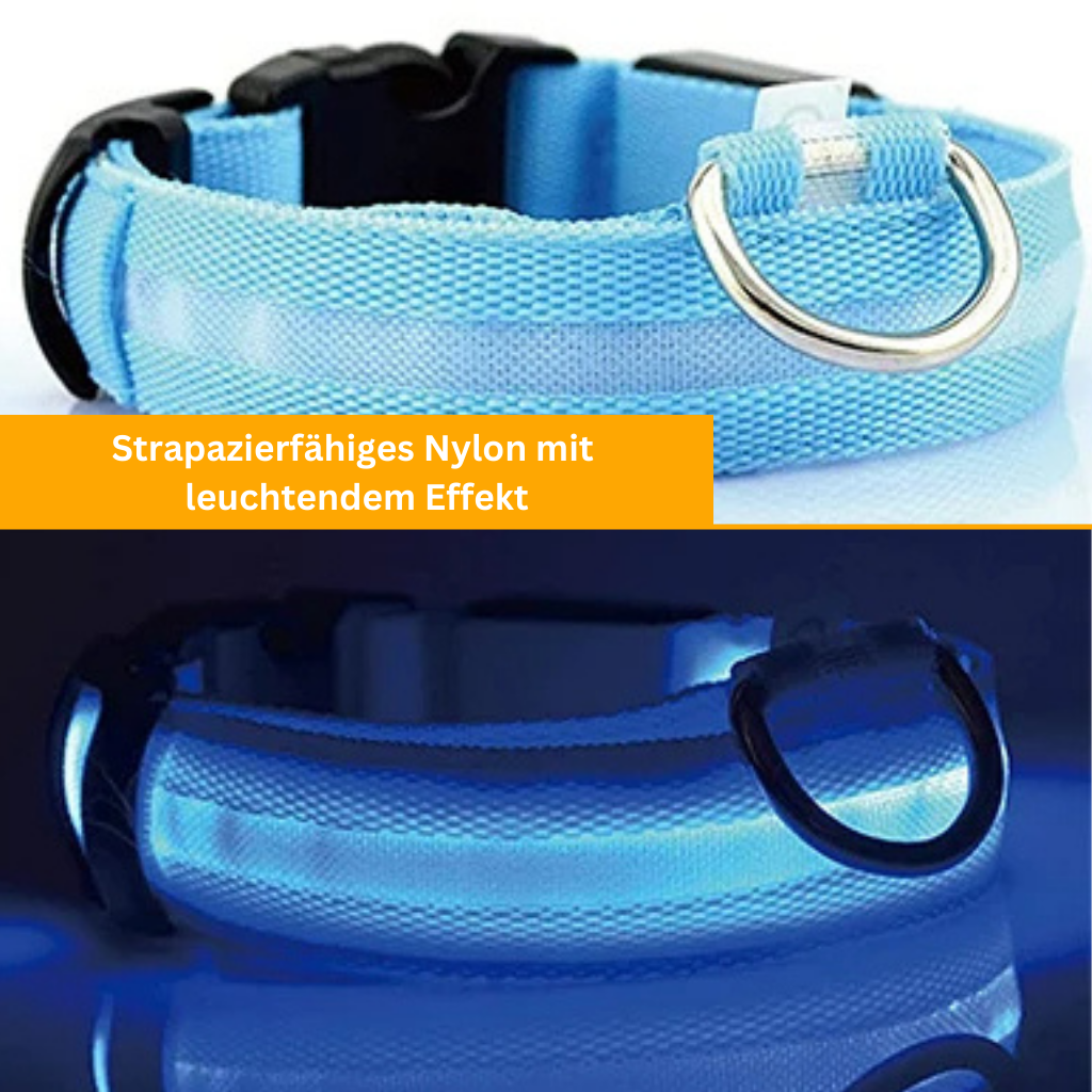 LED Leuchthalsband