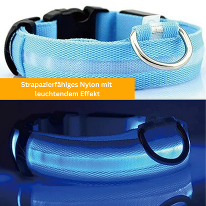 LED Leuchthalsband