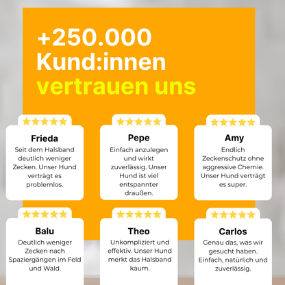 Floh- und Zeckenschutz Halsband für Hunde