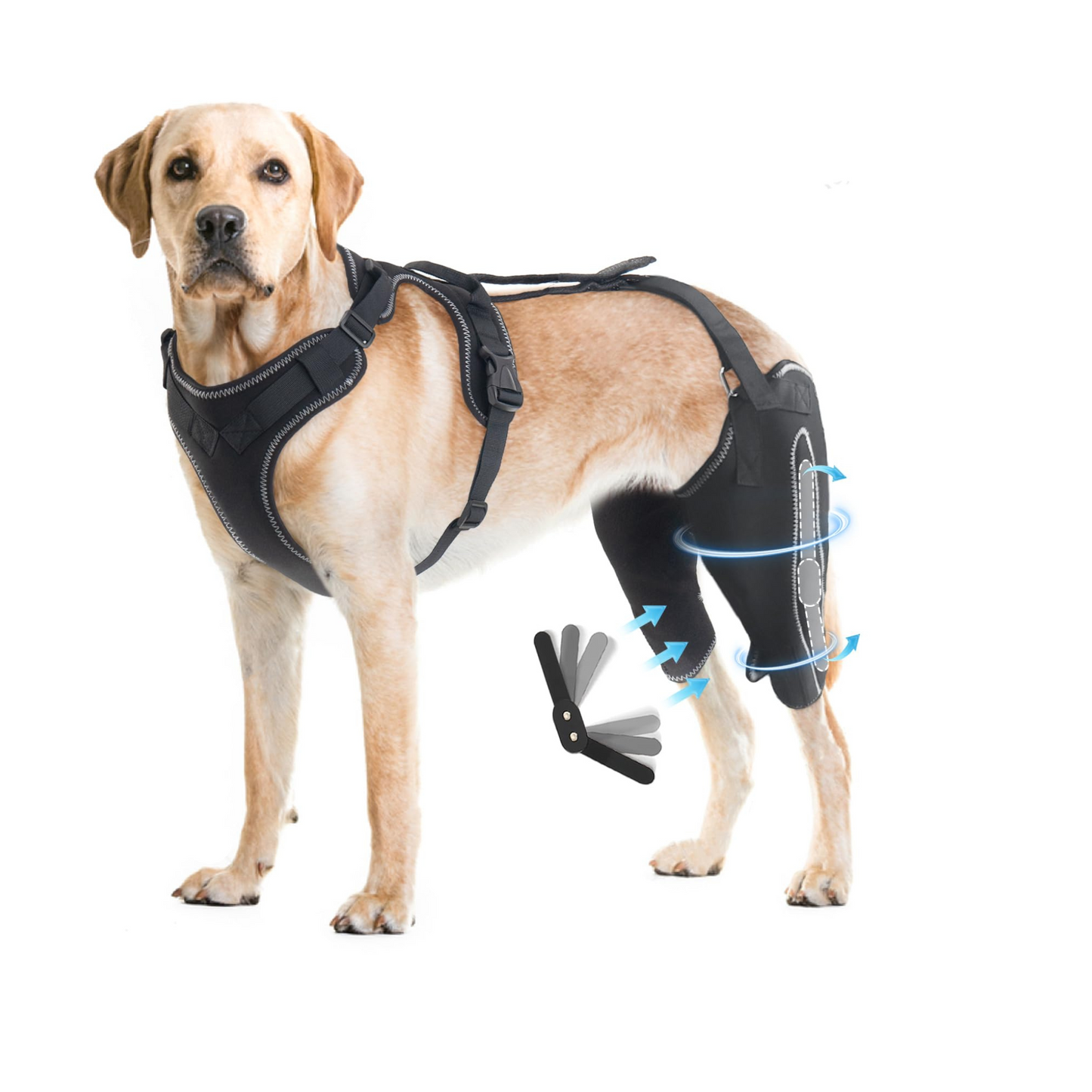 DualBrace – Beinorthese mit Scharniergelenk